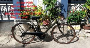 Xe đạp điện trợ lực Nhật: Yamaha Pas Ami