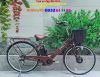 Xe đạp điện trợ lực Eva - anh 1