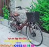 Xe đạp điện trợ lực Eva - anh 3
