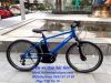 Siêu Xe đạp thể thao trợ lực điện Nhật : Panasonic Hurryer 2020 - anh 10