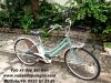 Xe đạp điện trợ lực : Bridgetone Stila - anh 6