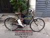 Xe đạp điện Nhật 3 chế độ : Panasonic - anh 1