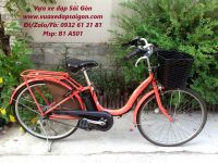 Xe đạp điện trợ lực Nhật : ASSISTA