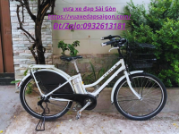 XE ĐẠP TRỢ LỰC BRIDGETONE -- HYDEE.II CÓ THÊM TAY GA