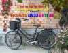 Xe đạp điện Nhật 3 chế độ chạy  BRIDGESTONE  HYDEE.II - anh 3