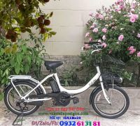 Xe đạp điện trợ lực Nhật DELICHE Babby