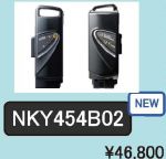 Pin Li-ion xe đạp Nhật : Panasonic