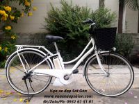 Xe đạp trợ lực Pas Ami