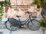 XE ĐẠP TRỢ LỰC BRIDGETONE --  HYDEE.II