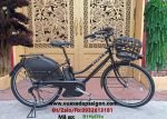 XE ĐẠP TRỢ LỰC ĐIỆN NHẬT BRIGESTONE HYDEE II